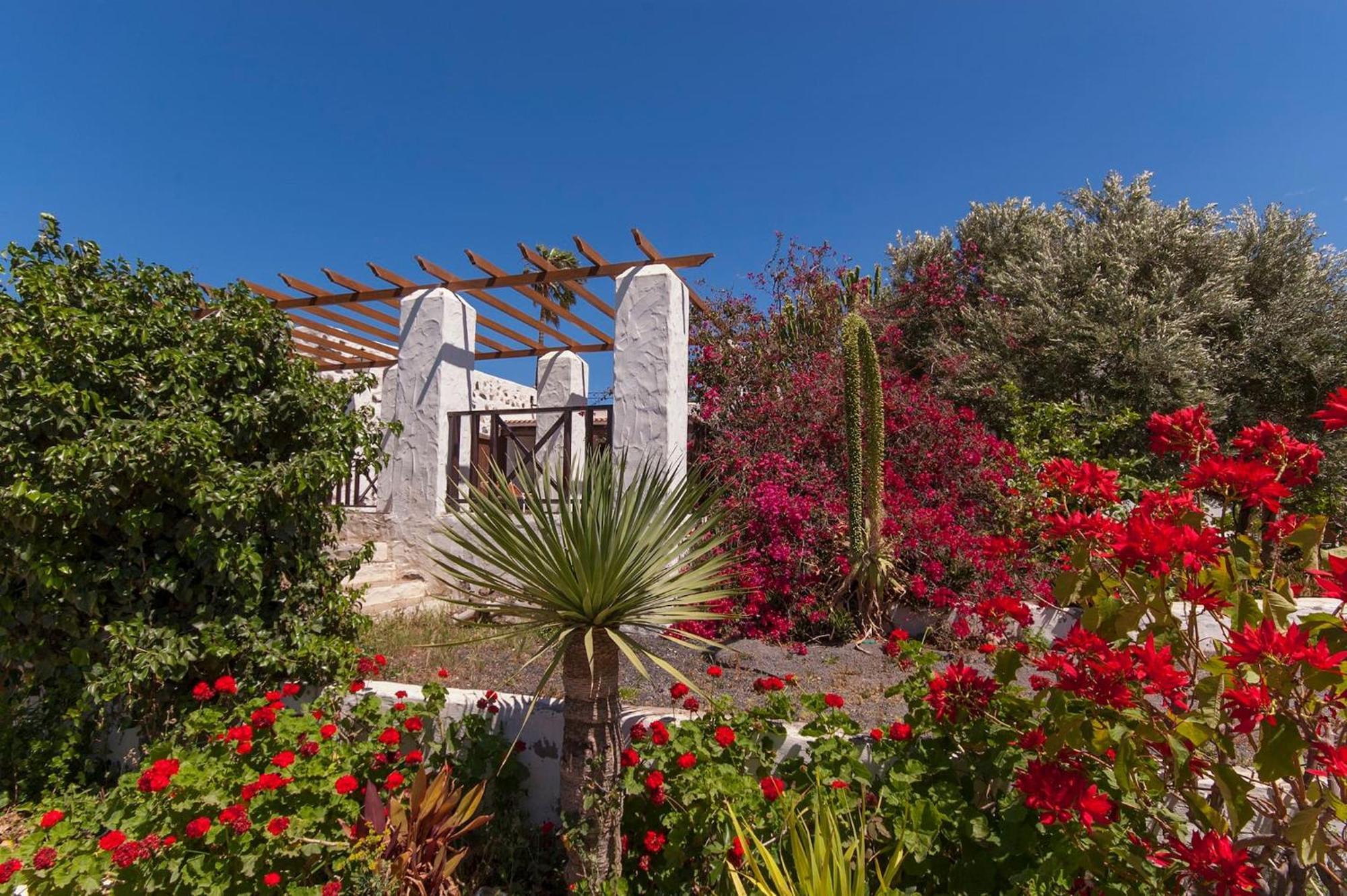 Finca El Lomo إيخينيو المظهر الخارجي الصورة